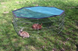 KERBL kojec wybieg klatka królika świnki kawii psa do ogrodu na balkon 8 el