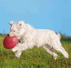 TRIXIE frisbee dysk z kauczuku zabawka dla psa 22 cm