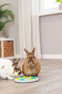 TRIXIE gra zabawka królika gryzoni fretki edukacyjna na przysmaki smakołyki