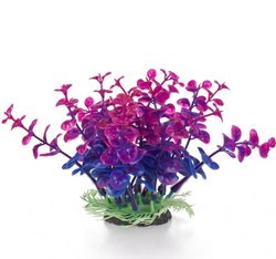 AQUA NATURA Roślina sztuczna ozdoba dekoracja akwarium terrarium peperomia