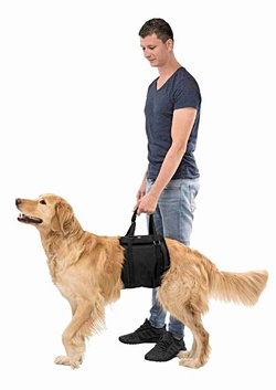 TRIXIE Uprząż rehabilitacyjna pas rehabilitacyjny dla psa L-XL do 45kg