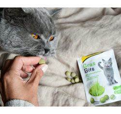 GimCat GRAS BITS tabletki z TRAWĄ mlekiem witaminą D3 przysmak kota 40g