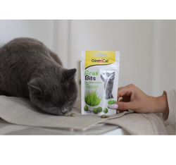 GimCat GRAS BITS tabletki z TRAWĄ mlekiem witaminą D3 przysmak kota 40g