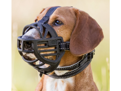 TRIXIE Kaganiec silikonowy psa fizjologiczny pozwala pić jeść ziajać L-XL 5