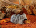 EXO TERRA Wet Rock jaskinia grota wilgotna kryjówka ozdoba do terrarium L