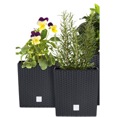 PROSPERPLAST Doniczka rattanowa biała + wkład mrozoodporna 26,2 x 26,6 cm