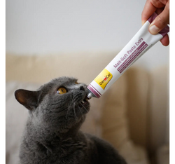 GimCat MALT SOFT EXTRA Pasta odkłaczająca na kule włosowe jelita kota 50g