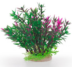 AQUA NATURA Roślina sztuczna ozdoba dekoracja akwarium terrarium 12c