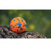 PET NOVA Polyball Strong piłka mocna wytrzymała zabawka psa pływająca 7cm L
