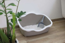ZOLUX Kuweta toaleta z ramką dla kota otwarta z wysokimi ściankami 56 cm