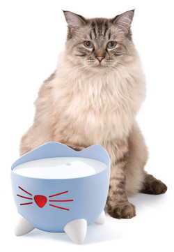 PIXI Catit Fontanna poidełko miska na wodę z filtrem kota 2,5 L niebieska