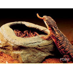 TERRA NATURA Miska na żywy pokarm robaki mączniki terrarium gadów płazów