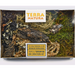 TERRA NATURA dekoracja terrarium tropikalnego rośliny mech gotowy zestaw 