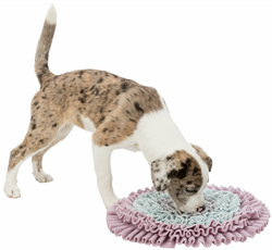 TRIXIE Sniffing Carpet gra dywanik mata węchowa dywan na przysmaki dla psa