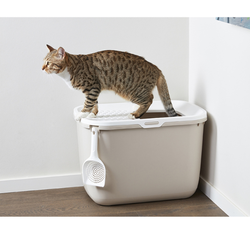 SAVIC Kuweta HOP IN duża toaleta kota wejście z góry beżowa kawowa 58,5 cm
