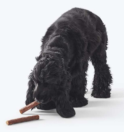 JOHN DOG Paluchy Jeleń 98% mięso jelenia przysmak smakołyk gryzak psa 2 szt