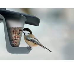 PROSPERPLAST Karmnik dla ptaków dzikich zimujących papugi Birdyfeed Double