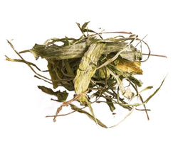 TIVO Babka lancetowata suszona zioła przysmak królika świnki gryzoni 150g