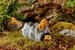 EXO TERRA Wet Rock jaskinia grota wilgotna kryjówka ozdoba do terrarium M