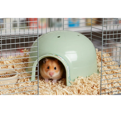 ZOLUX Domek IGLOO kryjówka chomika myszy gryzoni plastikowy zielony 19 cm