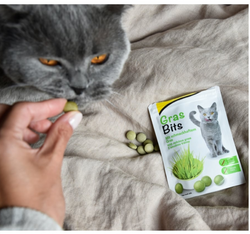 GimCat GRAS BITS tabletki z TRAWĄ mlekiem witaminą D3 przysmak kota 40g