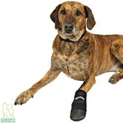 TRIXIE Walker Care Buty buciki ochronne wodoodporne ochrona łapy psa L