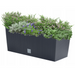 PROSPERPLAST Doniczka rattanowa z nawodnieniem czarna mrozoodporna 51,4 cm