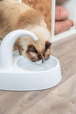 TRIXIE Curved Stream fontanna poidło kota psa miska na wodę z filtrem 2,5L