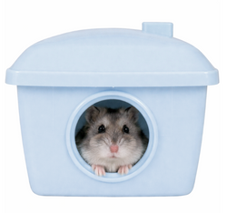 ZOLUX Domek plastikowy kryjówka legowisko chomika myszy gryzoni niebieski