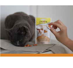 GimCat MULTI-VITAMIN TABS przysmak kota witaminy beta-glukan tauryna 40g