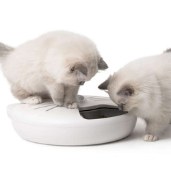 PIXI Smart 6-Meal Feeder karmidło automatyczne podajnik karmy dla kota psa 