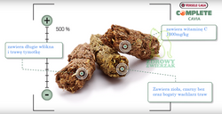 VERSELE LAGA CAVIA COMPLETE 3 kg karma pokarm jedzenie dla kawii świnki