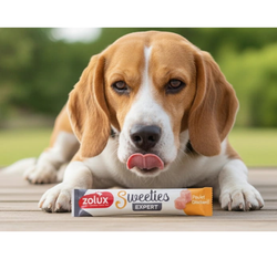 ZOLUX SWEETIES kremowy przysmak psa KURCZAK krem sos mus sosik pasta 14g