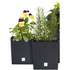 PROSPERPLAST Doniczka rattanowa biała + wkład mrozoodporna 26,2 x 26,6 cm