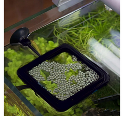 AQUA NOVA Karmnik dla ryb do akwarium plastikowy pływający kwadratowy 10x10