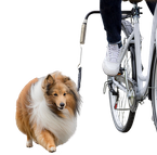 TRIXIE Smycz rowerowa do roweru dla średniego i małego psa z amortyzatorem