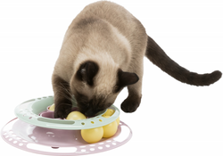 TRIXIE Junior Kitten Circle tor z piłeczkami zabawka dla kota z piłkami 