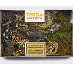 TERRA NATURA dekoracja terrarium tropikalnego rośliny mech gotowy zestaw