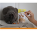 GimCat MULTI-VITAMIN TABS przysmak kota witaminy beta-glukan tauryna 40g