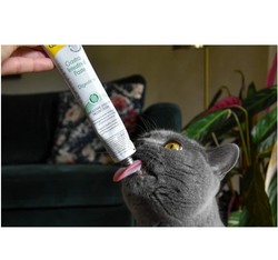GimCat GASTRO INTESTINAL pasta na trawienie jelita kota prebiotyk TGOS 50g