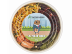FACTORYHERBS LUNCH BOX przysmak karma zioła kwiaty warzywa świnki kawii