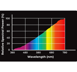 REPTILE NOVA Żarówka 50W UVA DAYLIGHT grzewcza dzienna do terrarium E27