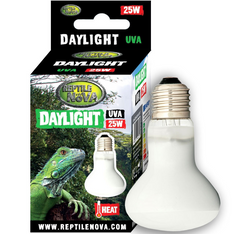 REPTILE NOVA Żarówka 25W UVA DAYLIGHT grzewcza dzienna do terrarium E27