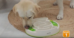 TRIXIE Slide Feed gra zabawka edukacyjna interaktywna na przysmaki psa kota