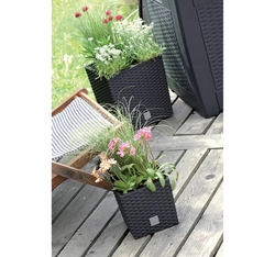 PROSPERPLAST Doniczka rattanowa biała + wkład mrozoodporna 26,2 x 26,6 cm