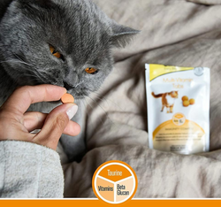 GimCat MULTI-VITAMIN TABS przysmak kota witaminy beta-glukan tauryna 40g