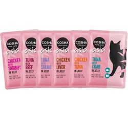 COSMA ASIA różne smaki mokra karma w galarecie przysmak kota MIX BOX 6x100g