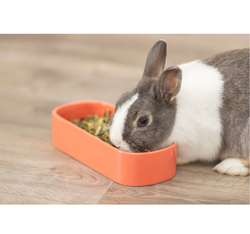 TRIXIE Miska ceramiczna królika kawii świnki ciężka owalna podłużna 600 ml
