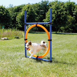 TRIXIE Obręcz koło tor przeszkód do skoków zabawka psa szkolenie agility