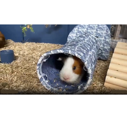 ZOLUX NEOLIFE Domek IGLOO legowisko budka królika świnki kawii gryzoni 25cm